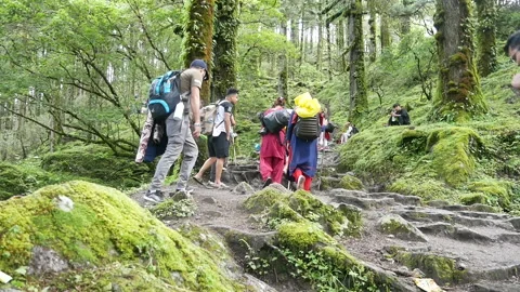People Trekking on mountain Stock Footage 231011014