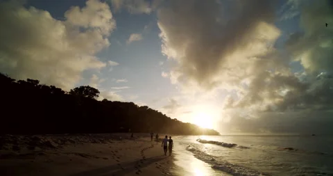 People On Turtle Nesting Beach At Sunset 4K Stock Footage 152917872