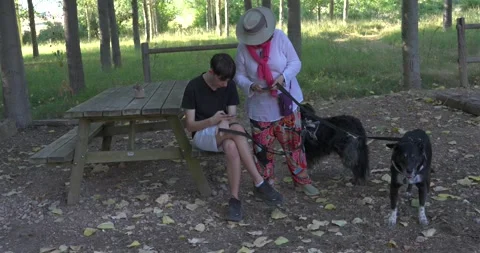 People with two dogs using smartphones in a park Vídeo Stock 344043868