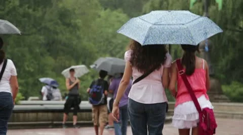 People with umbrellas in the rain Stock Footage 12531700