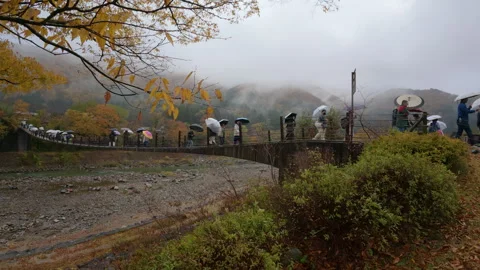 People with umbrellas walking over a long bridge in Shirakawa-go Vidéo 333919057