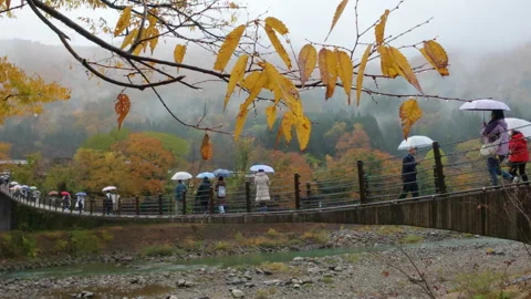 People with umbrellas walking over a long bridge in Shirakawa-go Stock Footage 333921074