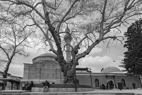 People under Ancient Plane Tree at Yildirim Mosque Black and White Stock Photos