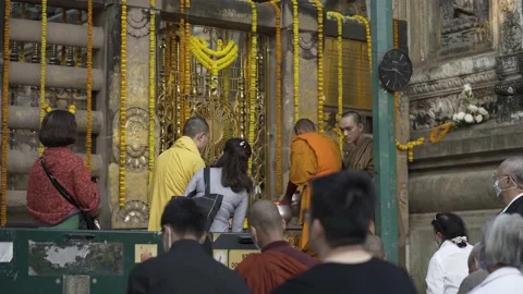 People under Bodhi Tree praying doig offerings and meditating. Stock Footage 229848717