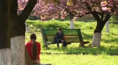 People under cherry blossoms Stock Footage 12336180