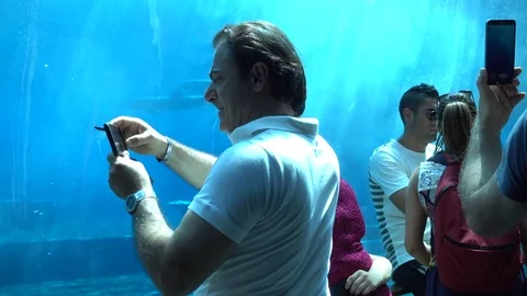 People under water Make Photo - Oceanarium And Underwater Zoo in Genova Italy Stock Footage