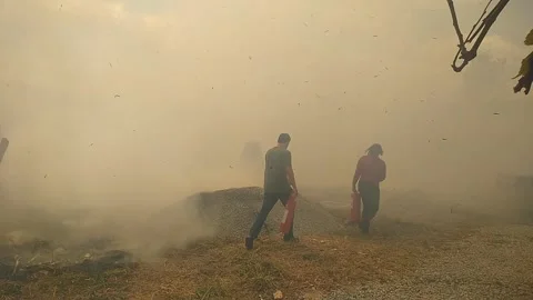 People use fire extingueshers on dry grass in fire on a brazilian parking lot du Stock-Footage 201973034