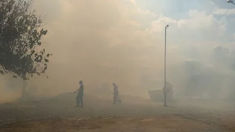 People use fire extingueshers on dry grass in fire on a brazilian parking lot du Video stock 201973043