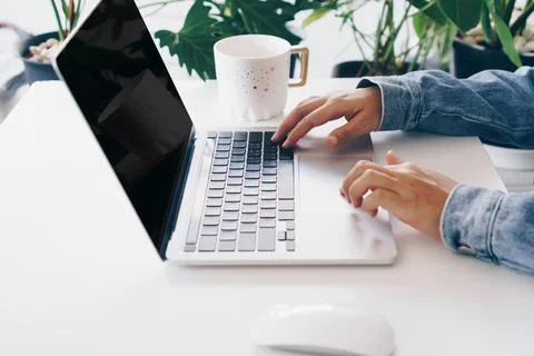 People using laptop to work study on work desk. Business, financial, trade .. Stock Photos