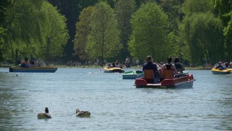 People using paddle boats on the pond at English Garden in Munich Bavaria Stock Footage 75951623