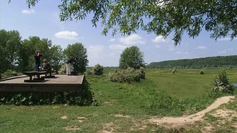 People on a viewing platform in Dutch river landscape + pan Stock Footage 108378352