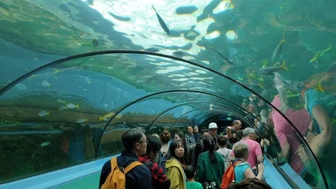 People visit Aquarium Stock Footage 112367102