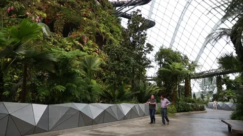 People visit the Cloud Forest the park Gardens by the Bay in Singapore Stock Footage 49213598
