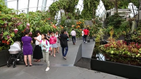 People visit the Cloud Forest the park Gardens by the Bay in Singapore Stock Footage 49214226