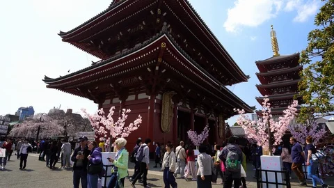 People visit Sensoji temple with cherry blossom in Asakusa, Japan Stock Footage 106347150
