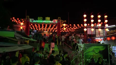 People visit snake temple during chinese new year celebration. Stock Footage 130849281