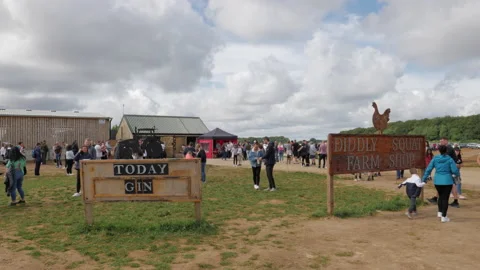 People visiting the popular Diddly Squat Farm Shop Stock Footage 159091209