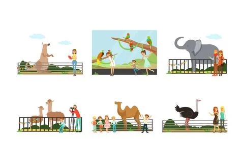 People visiting zoo at weekend set. Visitors watching at elephant, ostrich Stock Illustration