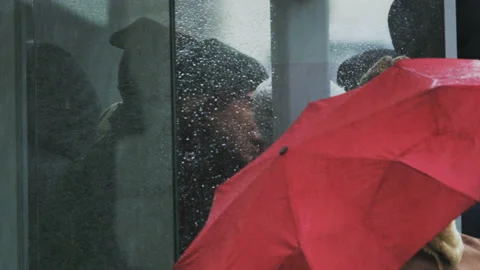 People Waiting at the Bus Stop in Heavy Rain Stock Footage 88030802