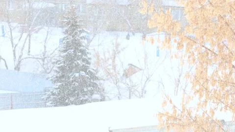 People walk along the path in bad weather in the snow blizzard snowfall Stock Footage 149461018