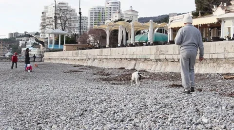 People walk on the beach Vídeo Stock 46769229