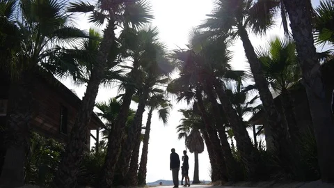 People walk on the beach Stock Footage 80023302
