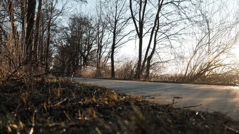 People walk between the ponds Stock Footage 104186515
