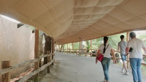 People on a walk Stock Footage 160342900