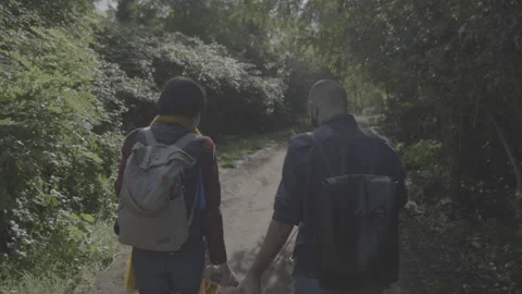 People walk in a forest 動画素材 147657824