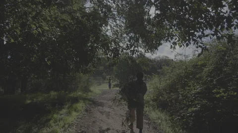 People walk in a forest Stock Footage 147658272