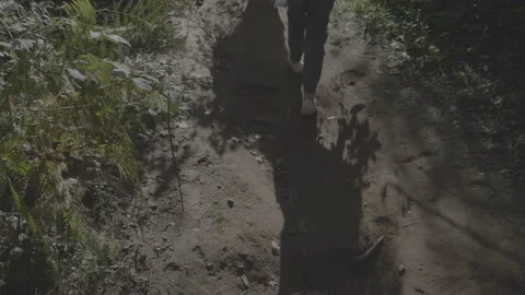 People walk in the forest Video stock 147658337