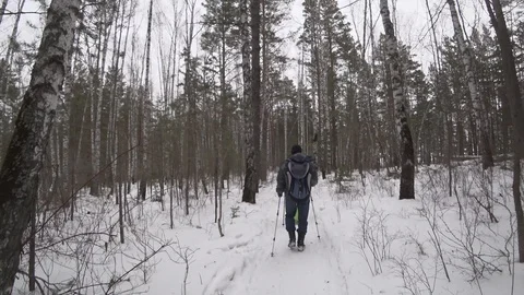 People walk in the forest in winter Stock Footage 123681675
