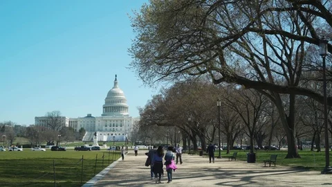 People walk on the mall in Washington DC with U.S. Capital building Capitol Hill Stock Footage
