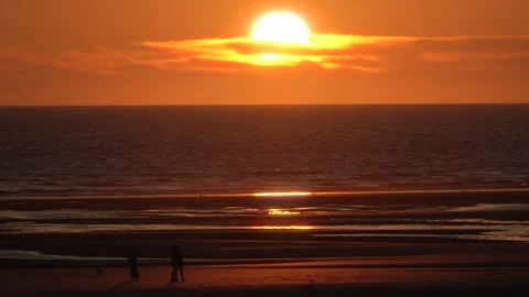 People walk on Opal Coast beach at sunset Video stock 332109400