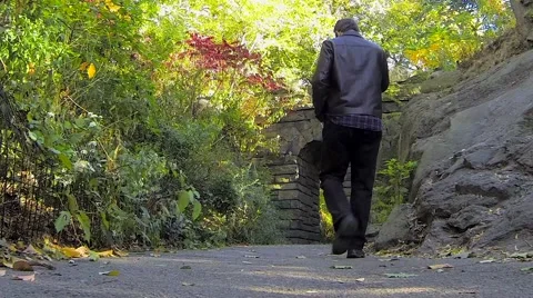 People Walk on a Park Path Stock Footage 58953756