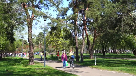 People walk in the park in spring Video stock 49546780