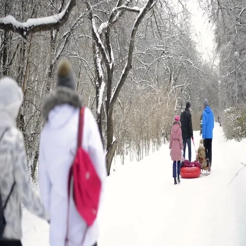 People walk in the park in winter Stock Footage 69703872