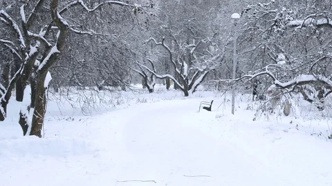 People walk in the park in winter Stock Footage 69706996