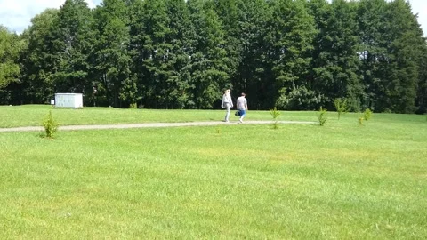 People walk on path through grassy meadow at National Park during daytime in Sum Stock Footage 326959281