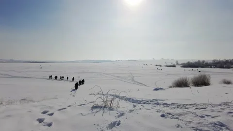 People walk on the snow 動画素材 149104977