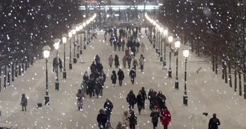 People walk at snowfall Stock Footage 169013542