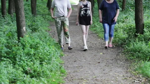 People Walk Through The Forest Video stock 92025542