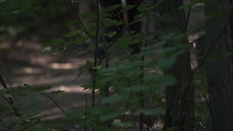 People walk through the forest Stock Footage 99835470