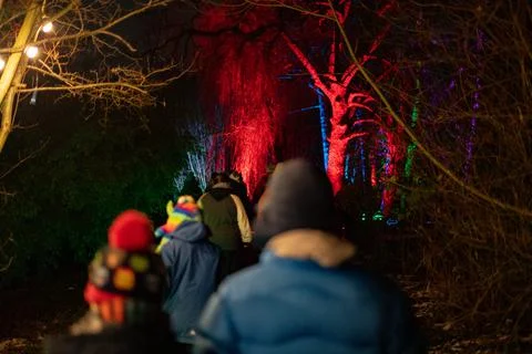 People walk-through musical Winter Light trail 스톡 사진