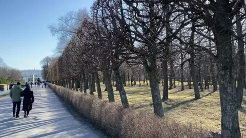 People walk through the park trees and bushes. Stock Footage 154565778