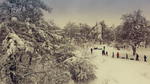 People walk through the winter forest Stock Footage 101458837