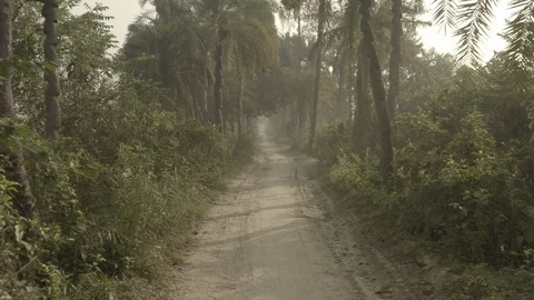 People walk trough passage in jungle, Ma... | Stock Video | Pond5