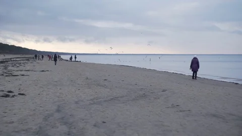 People walk in the winter along the coast of the Baltic Sea and feed gulls Stock Footage