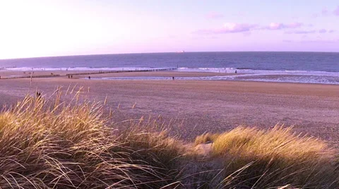 People walk by the winter sea. Stock Footage 34368791
