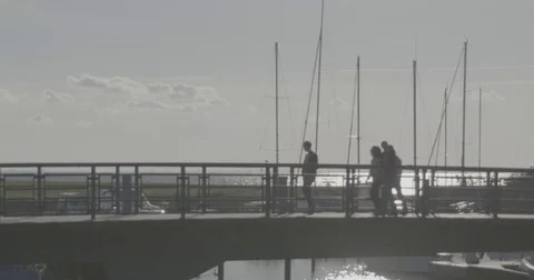 People walking across bridge Stock Footage 78029701